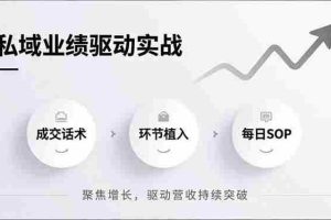 （16988期）私域业绩驱动实战，成交话术、环节植入、每日SOP，聚焦增长，驱动营收持续突破