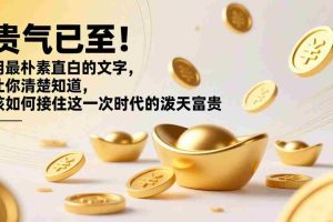 （17049期）付费文章：贵气已至！用最朴素直白的文字，让你清楚知道，该如何接住这一次时代的泼天富贵