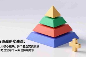 （17095期）五道战略实战课：五大核心模块，多个名企实战案例，助力企业与个人实现持续增长