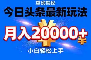 （17112期）今日头条代运营最新玩法，轻轻松松月入20000＋
